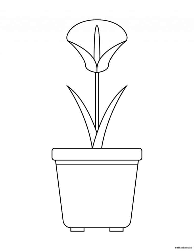 coloriage de fleur 6 - dessin gratuit &agrave; imprimer
