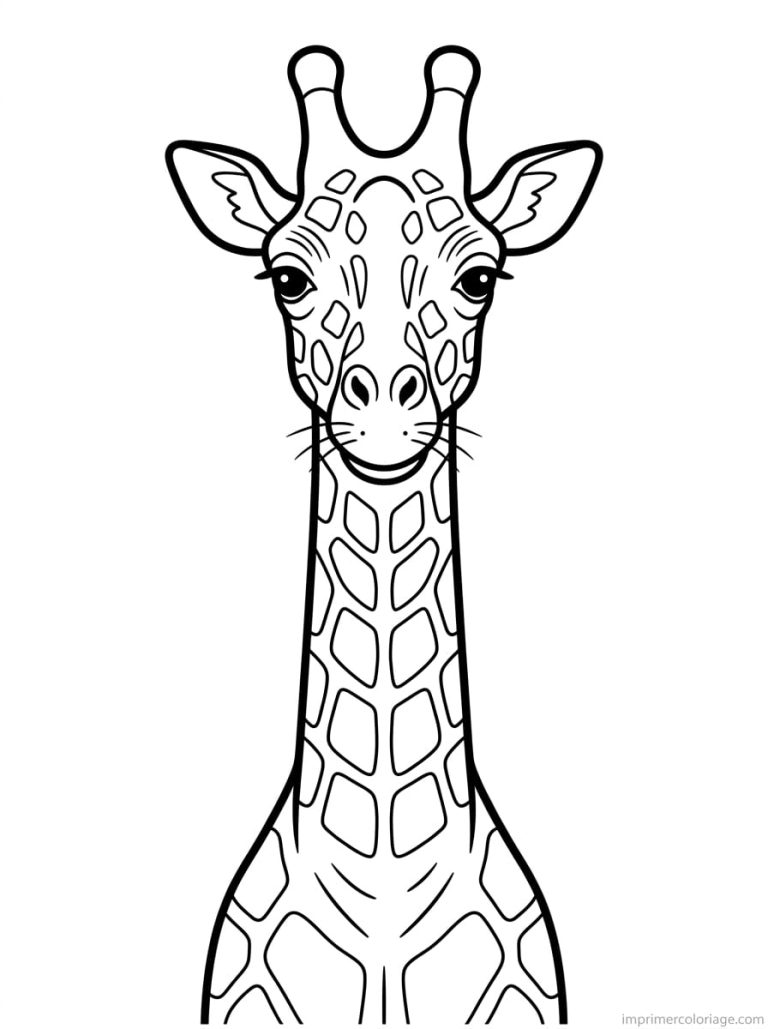 coloriage girafe face ossicones - dessin gratuit &agrave; imprimer