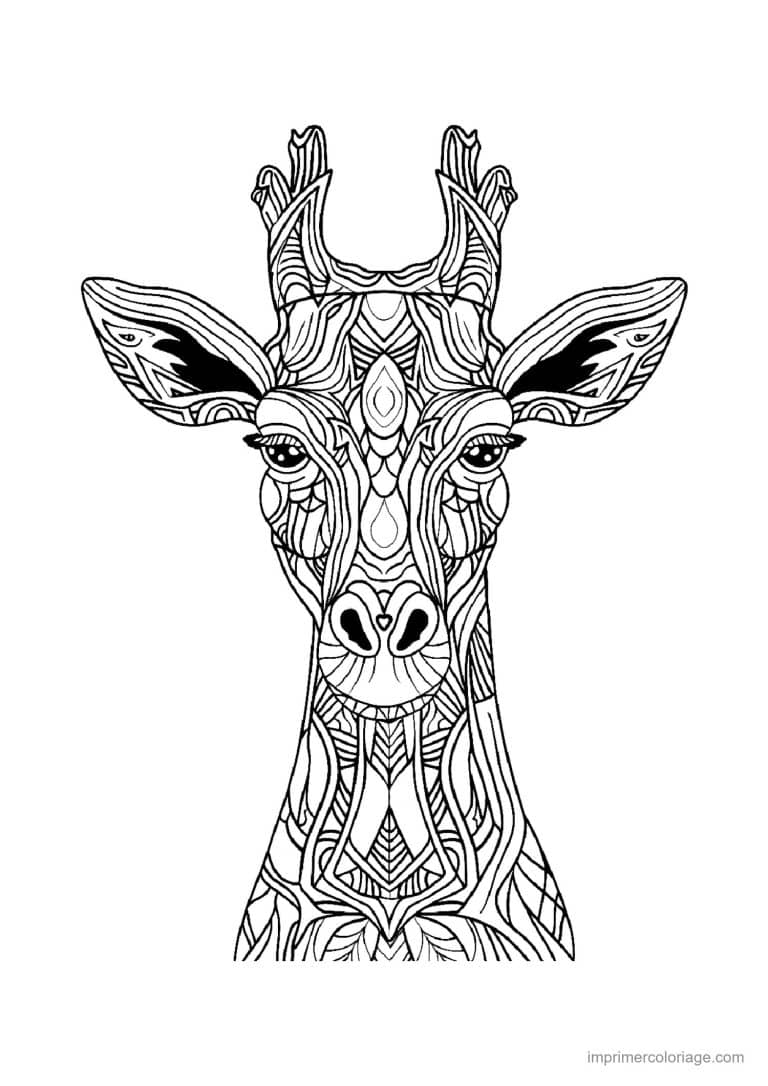 coloriage girafe mandala 12 - dessin gratuit &agrave; imprimer