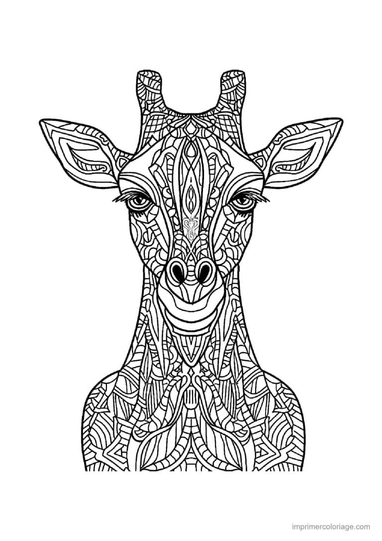 coloriage girafe mandala 13 - dessin gratuit &agrave; imprimer
