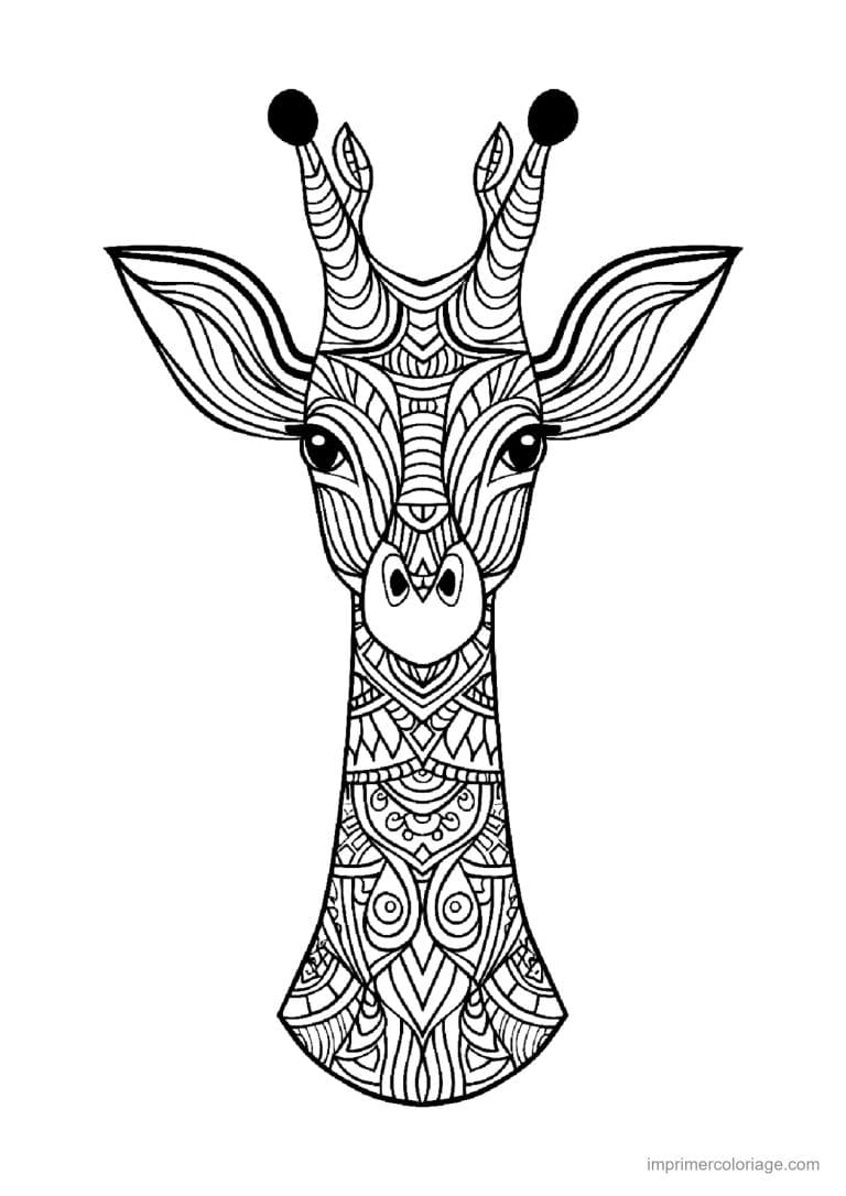 coloriage girafe mandala 20 - dessin gratuit &agrave; imprimer
