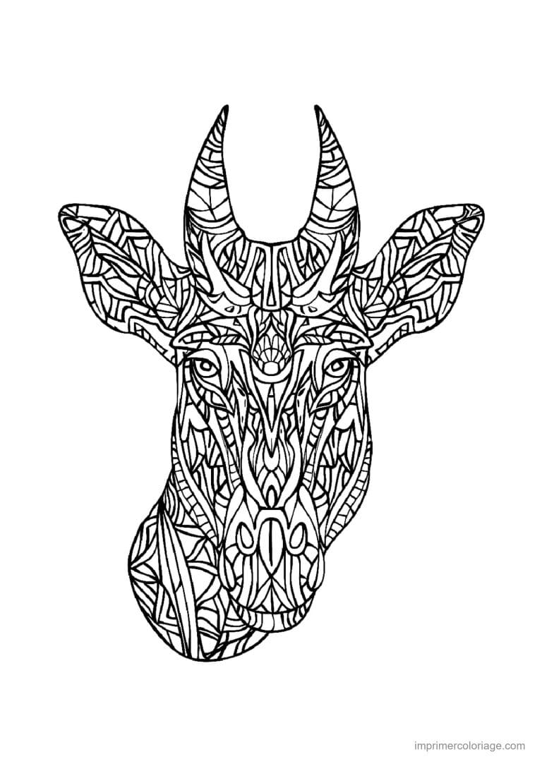 coloriage girafe mandala 22 - dessin gratuit &agrave; imprimer