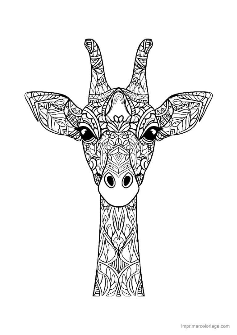 coloriage girafe mandala 30 - dessin gratuit &agrave; imprimer