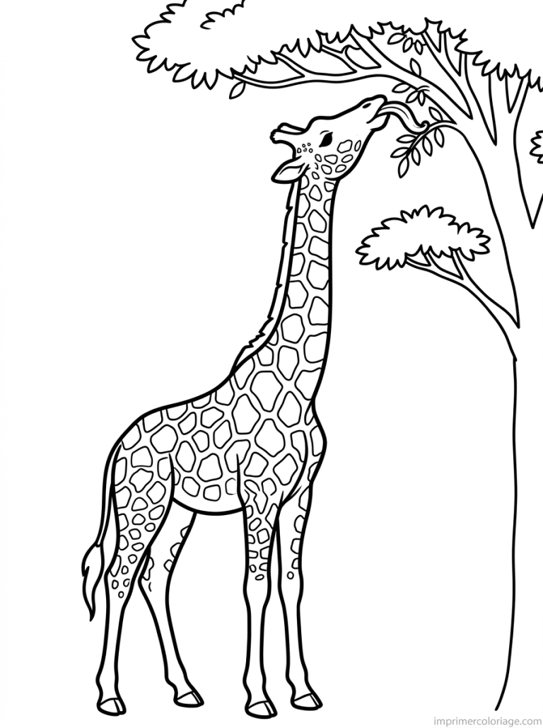 coloriage girafe mange arbre langue - dessin gratuit &agrave; imprimer