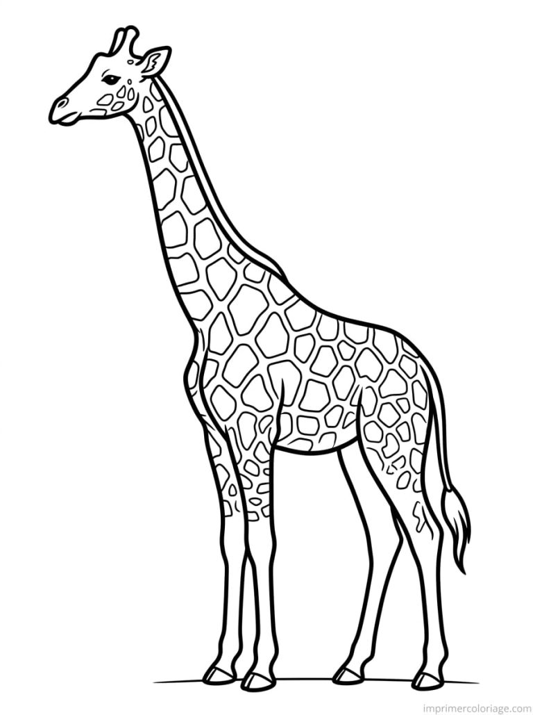coloriage girafe profil taches - dessin gratuit &agrave; imprimer