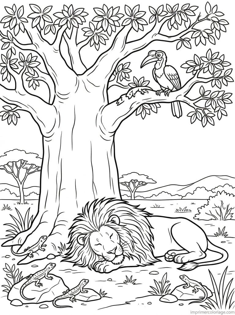 coloriage lion baobab ombre calao - dessin gratuit &agrave; imprimer