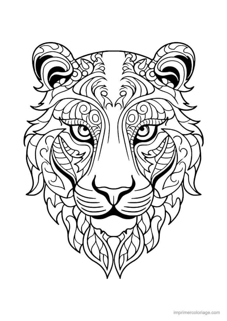 coloriage lion mandala 09 - Copie - dessin gratuit &agrave; imprimer