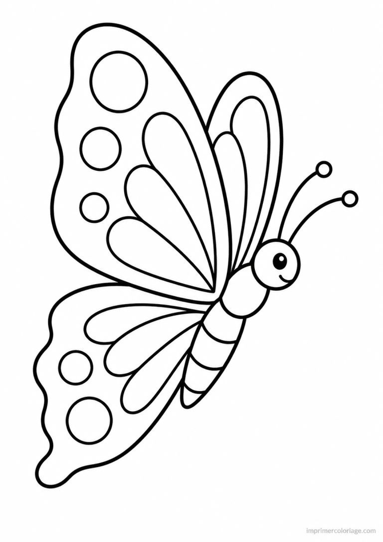 coloriage papillon epais mignon trois quarts - dessin gratuit &agrave; imprimer
