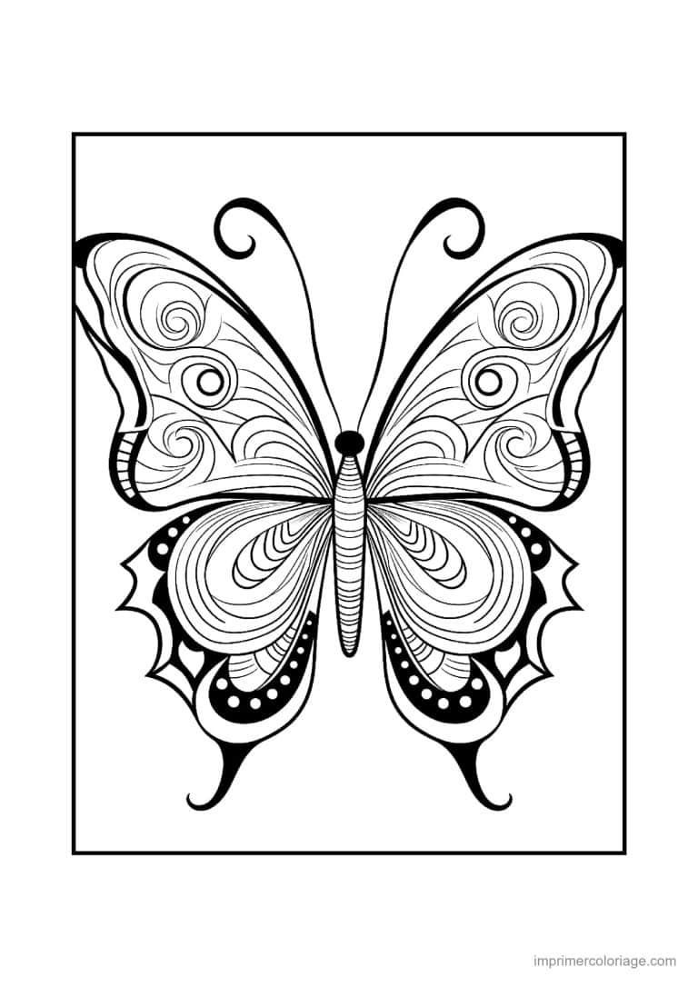 coloriage papillon mandala 12 - dessin gratuit &agrave; imprimer