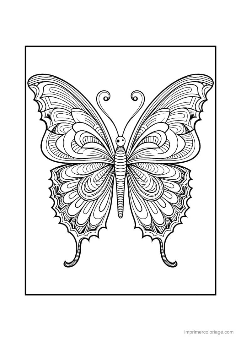 coloriage papillon mandala 16 - dessin gratuit &agrave; imprimer