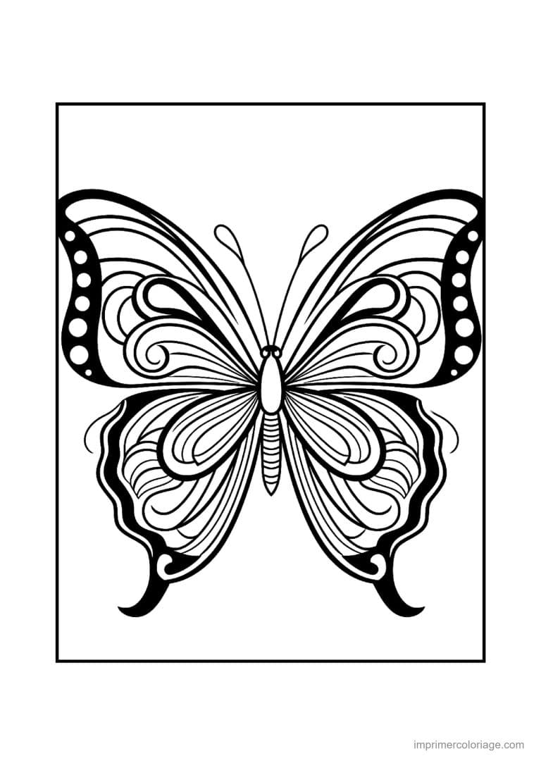coloriage papillon mandala 17 - dessin gratuit &agrave; imprimer