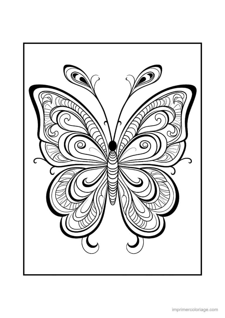 coloriage papillon mandala 19 - dessin gratuit &agrave; imprimer