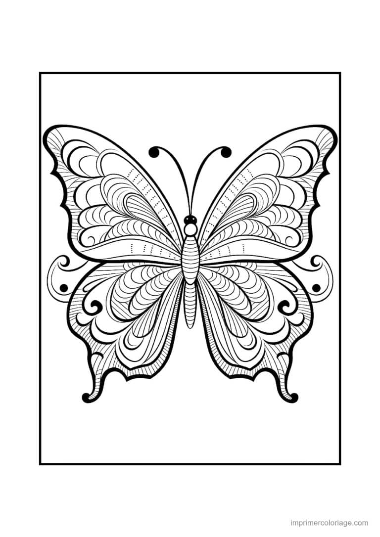 coloriage papillon mandala 24 - dessin gratuit &agrave; imprimer