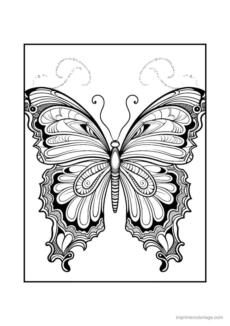 coloriage papillon mandala 28 - dessin gratuit &agrave; imprimer