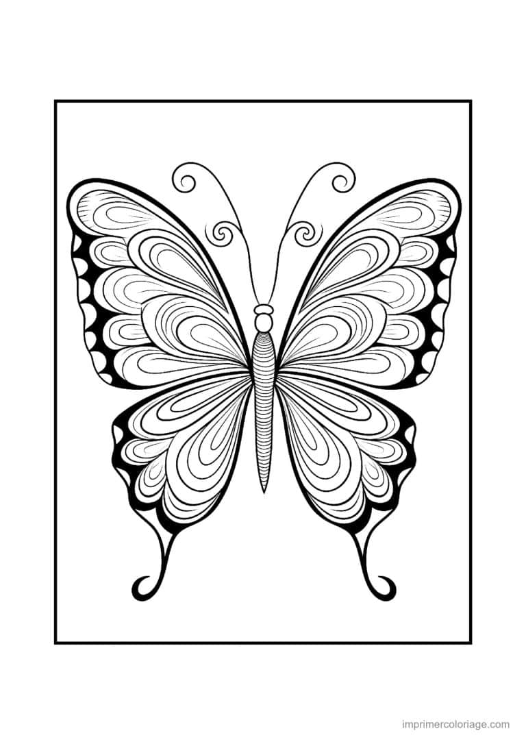 coloriage papillon mandala 31 - dessin gratuit &agrave; imprimer