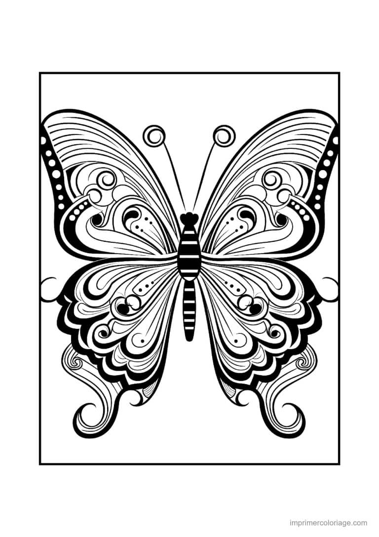 coloriage papillon mandala 33 - dessin gratuit &agrave; imprimer