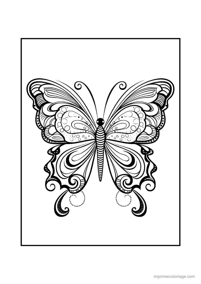 coloriage papillon mandala 35 - dessin gratuit &agrave; imprimer