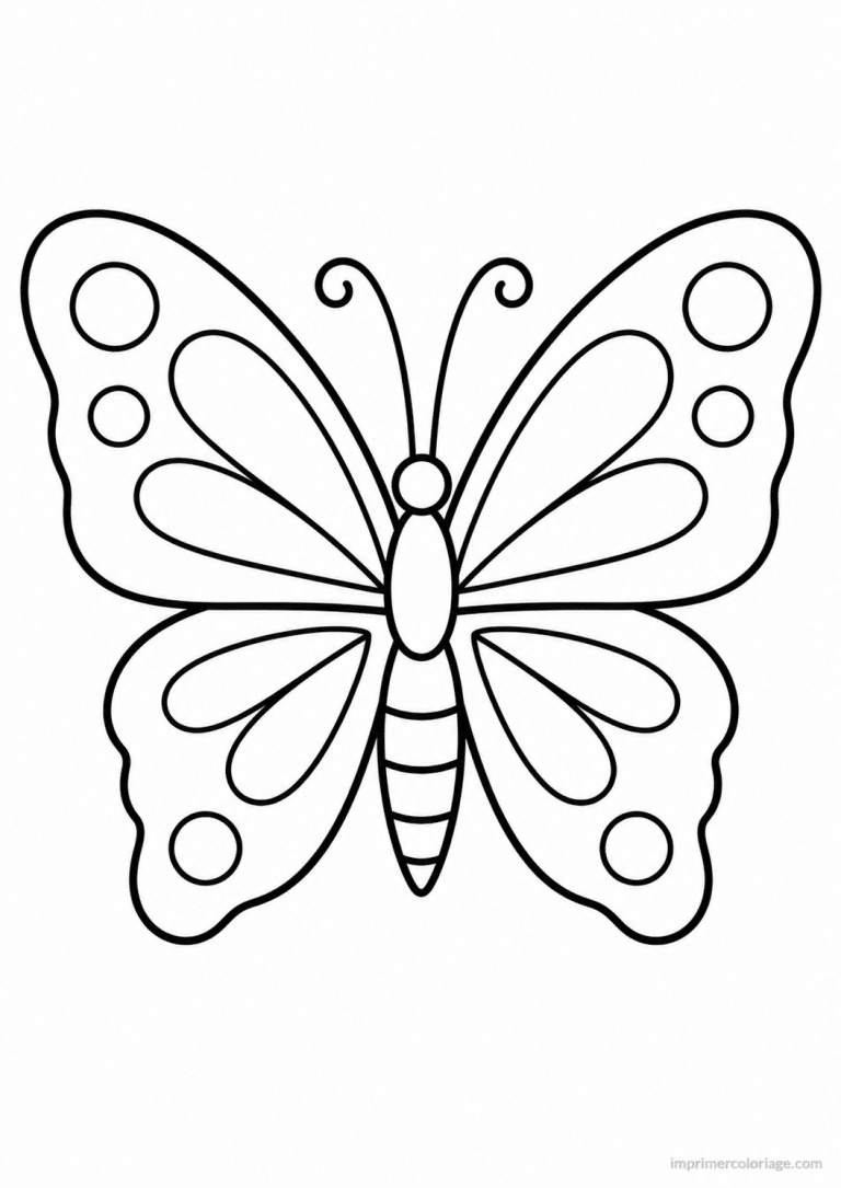 coloriage papillon simple profil gros oeil - dessin gratuit &agrave; imprimer