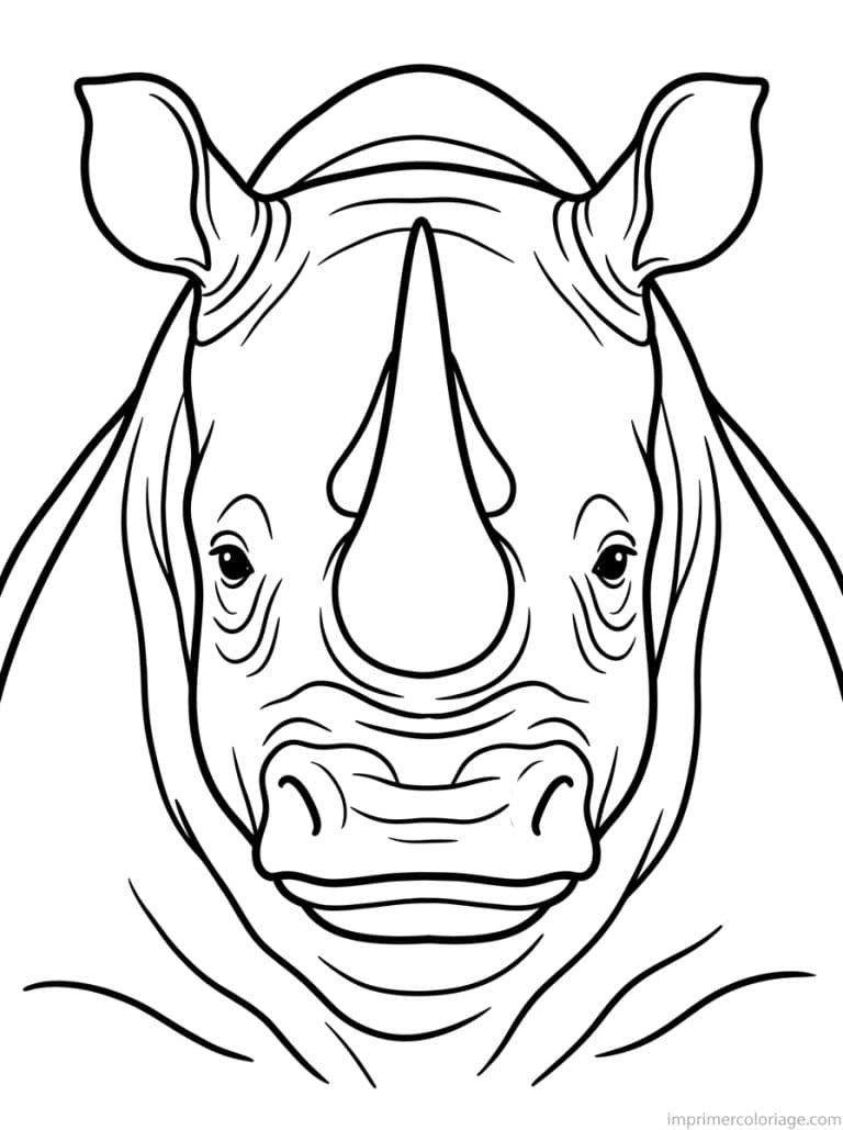 coloriage rhinoceros portrait corne à imprimer coloriage rhinoceros portrait corne - dessin gratuit à imprimer