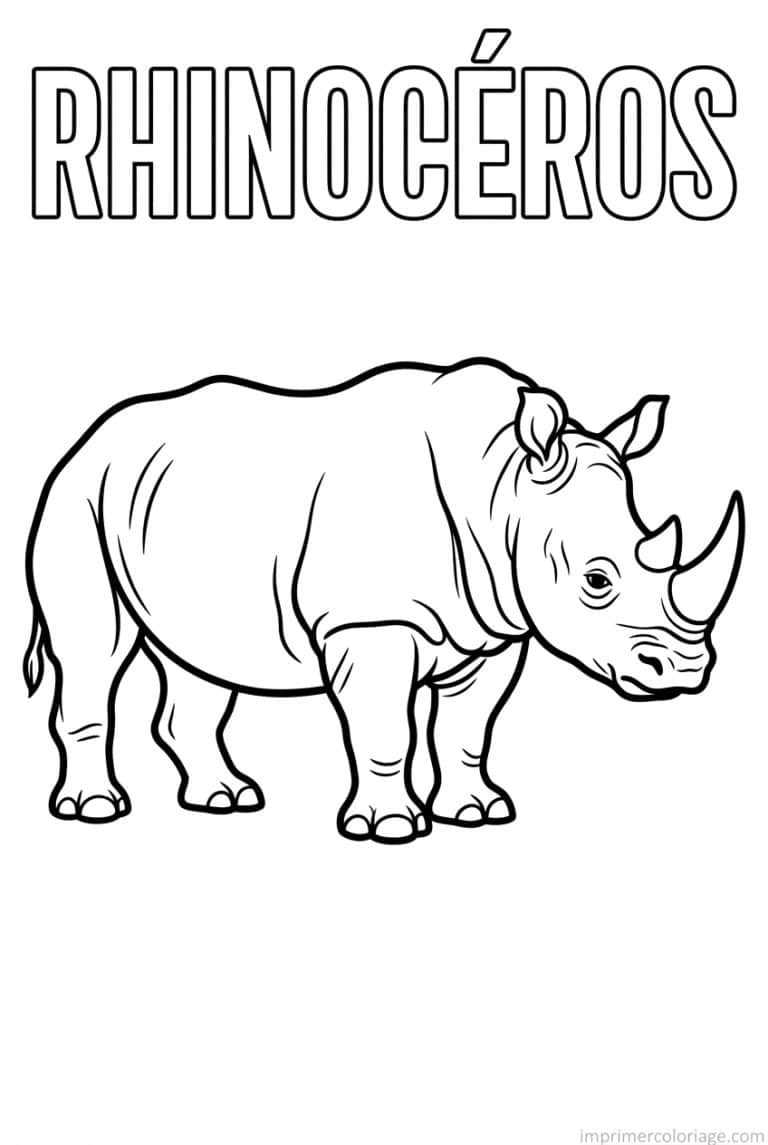 coloriage rhinoceros titre haut à imprimer coloriage rhinoceros titre haut - dessin gratuit à imprimer