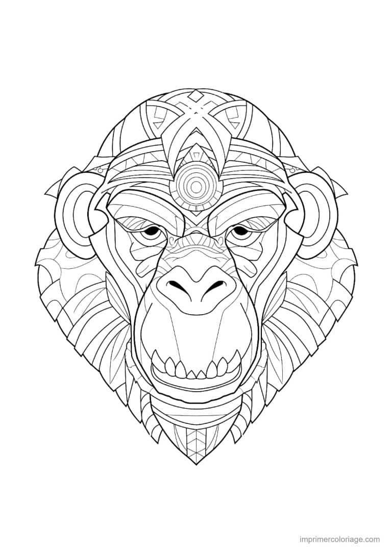 coloriage singe mandala 13 - dessin gratuit &agrave; imprimer