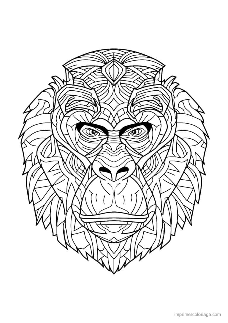 coloriage singe mandala 17 - dessin gratuit &agrave; imprimer