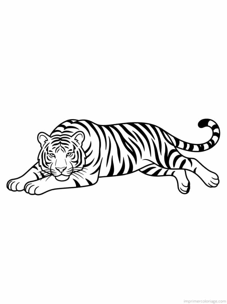 coloriage tigre allonge repos - dessin gratuit &agrave; imprimer
