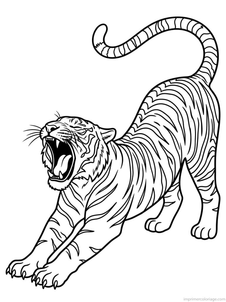 coloriage tigre etire baillement - dessin gratuit &agrave; imprimer