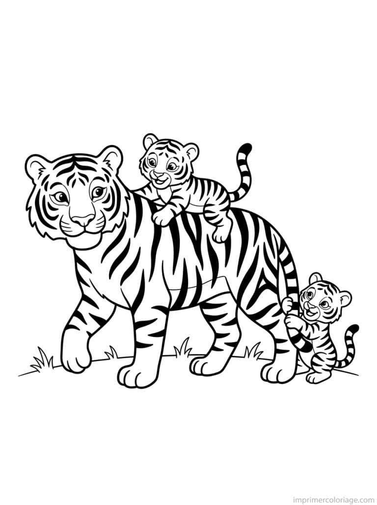 coloriage tigre mere deux petits - dessin gratuit &agrave; imprimer