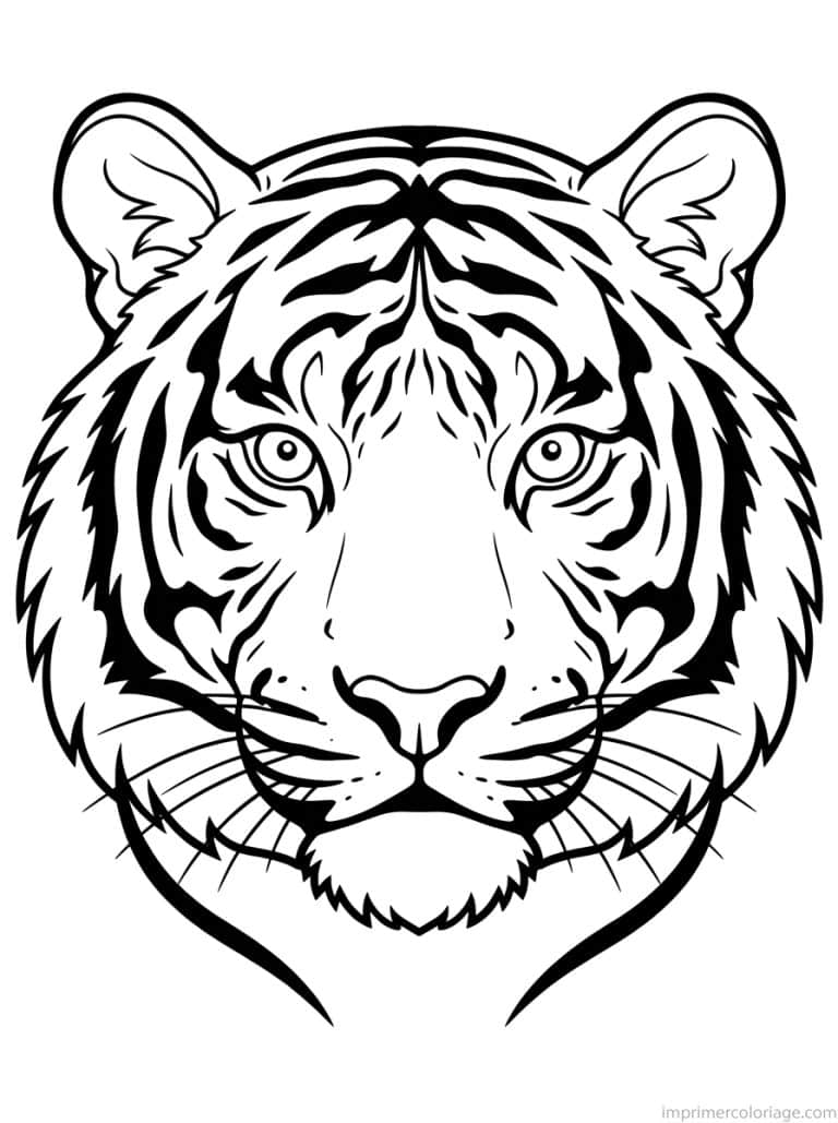 coloriage tigre portrait visage - dessin gratuit &agrave; imprimer