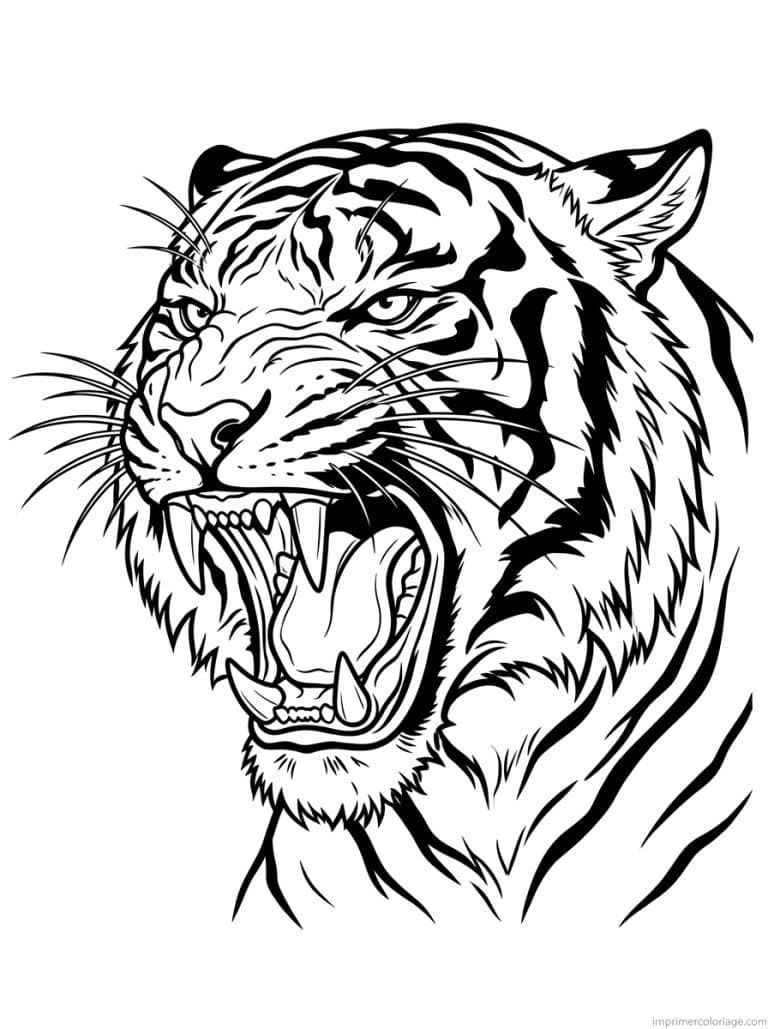 coloriage tigre rugit crocs - dessin gratuit &agrave; imprimer
