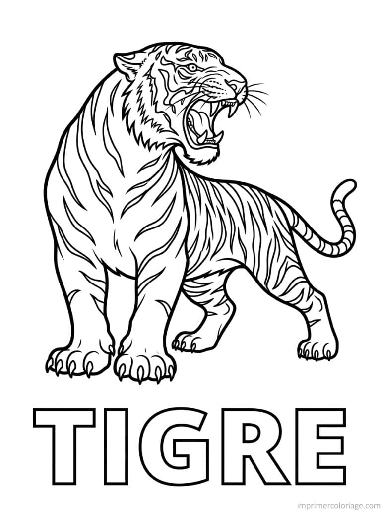 coloriage tigre titre bas - dessin gratuit &agrave; imprimer