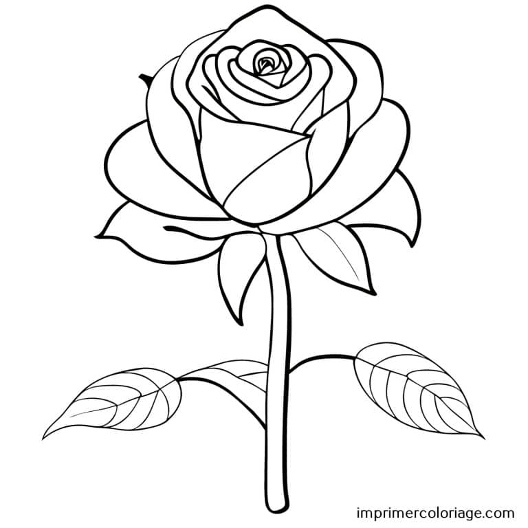 Coloriage de rose débutant St Valentin Rose débutant de St Valentin à imprimer et colorier