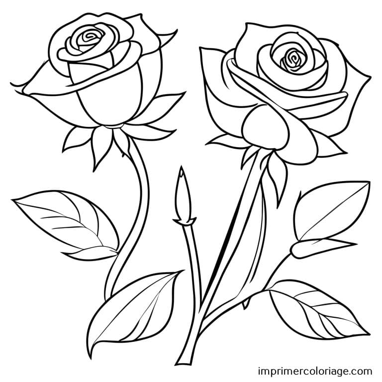 Coloriage de rose St Valentin avec tige Rose de St Valentin à imprimer et colorier avec tige