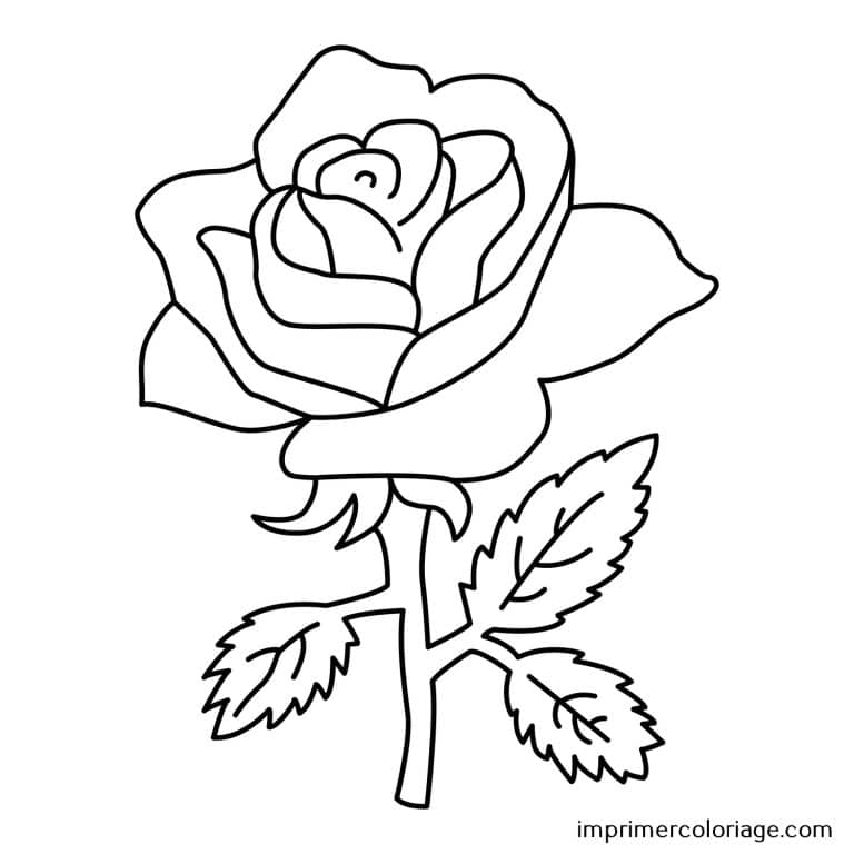Coloriage maternelle de rose St Valentin Rose de St Valentin à imprimer et colorier pour maternelle