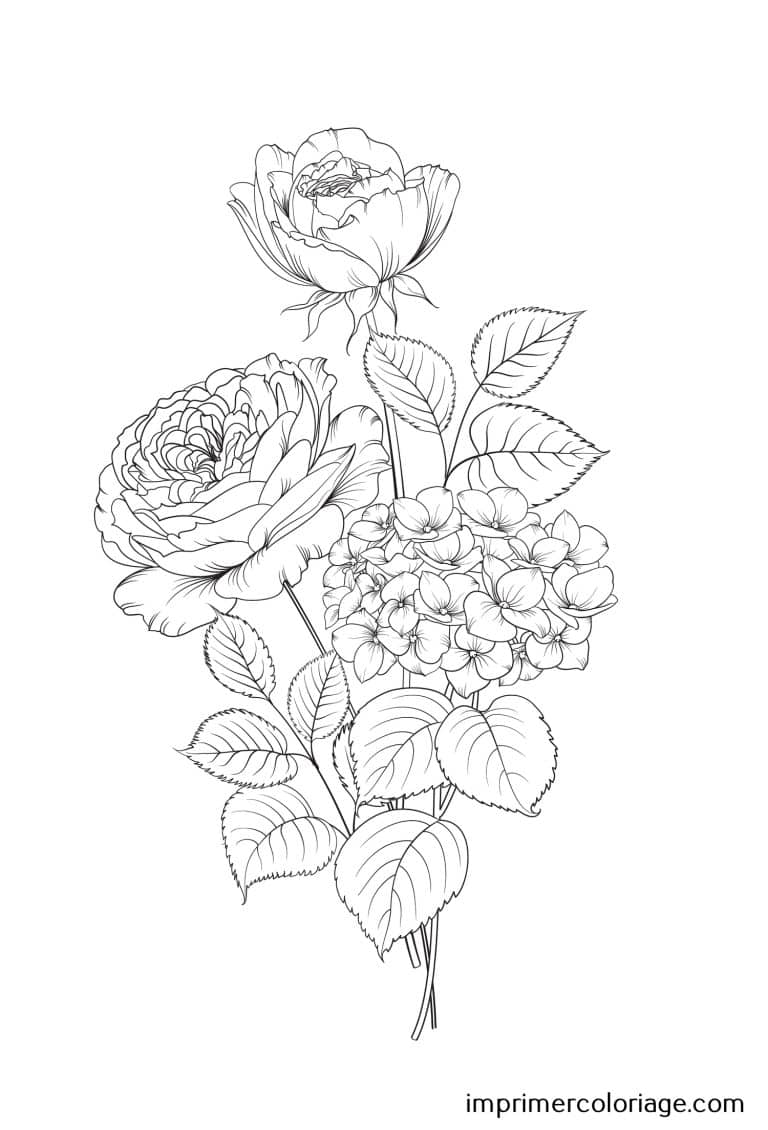 Coloriage de bouquet de rose St Valentin bouquet de Rose de St Valentin à imprimer et colorier