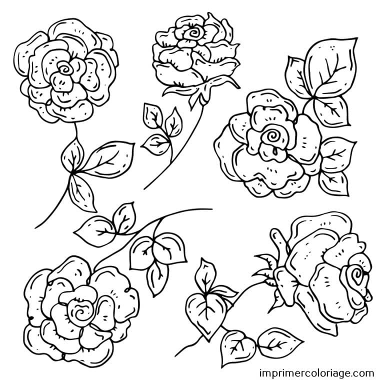 Coloriage de rose St Valentin facile Rose de St Valentin à imprimer et colorier facile