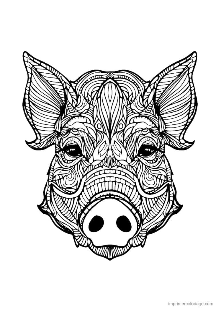 coloriage cochon mandala 03 - dessin gratuit &agrave; imprimer