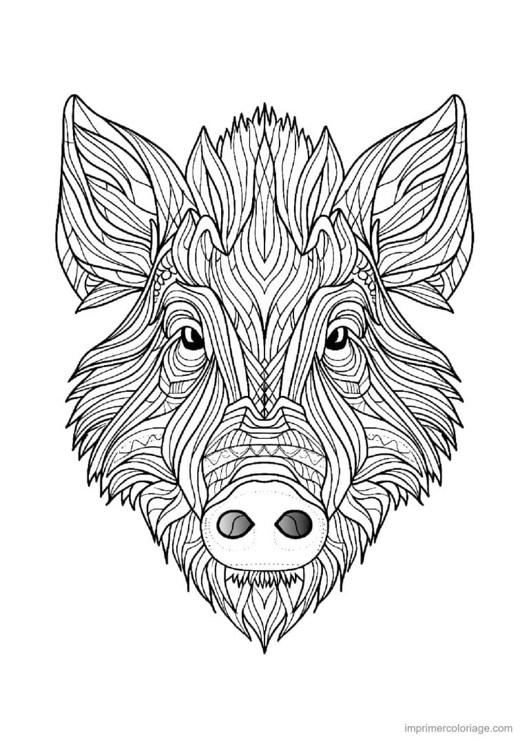coloriage cochon mandala 05 - dessin gratuit &agrave; imprimer