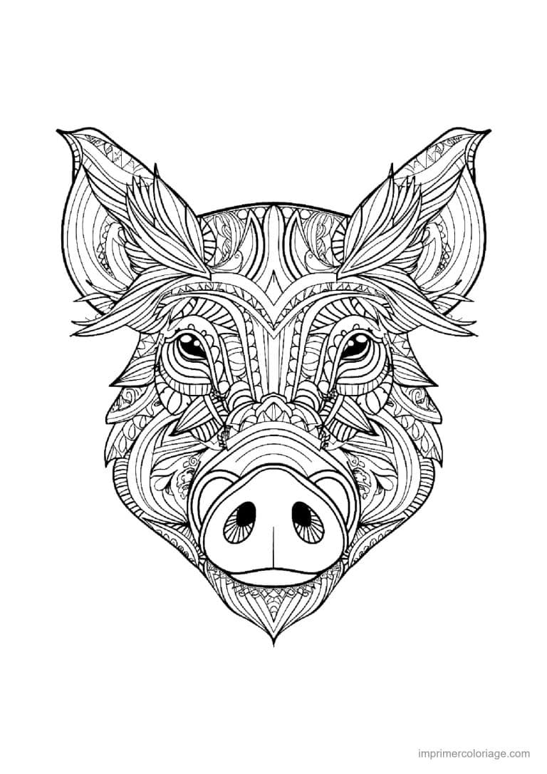 coloriage cochon mandala 06 - dessin gratuit &agrave; imprimer