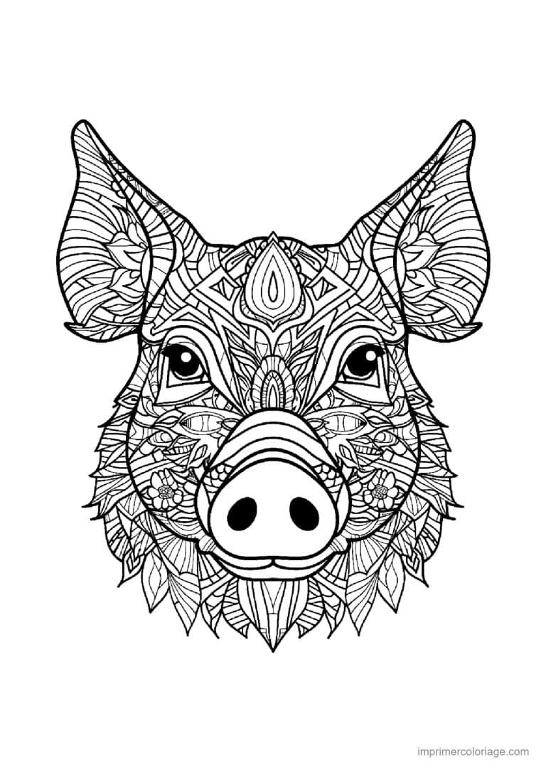 coloriage cochon mandala 07 - dessin gratuit &agrave; imprimer