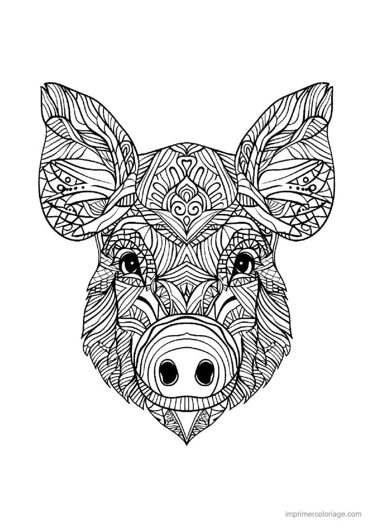 coloriage cochon mandala 08 - dessin gratuit &agrave; imprimer