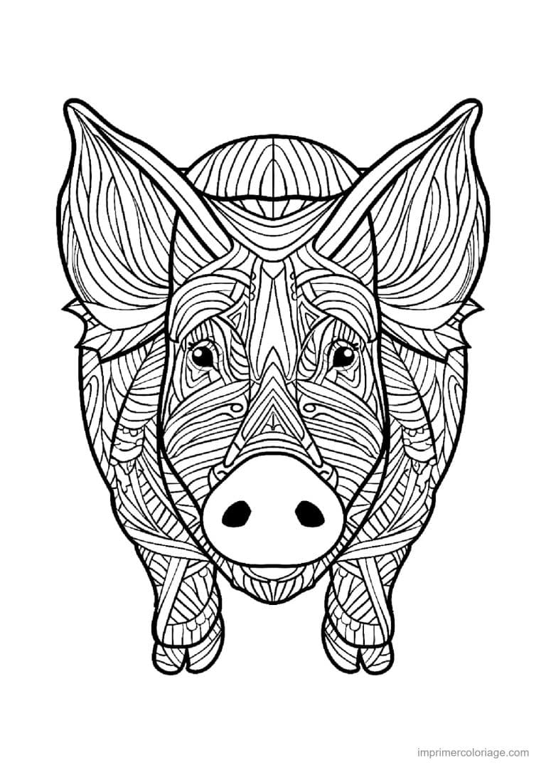 coloriage cochon mandala 09 - dessin gratuit &agrave; imprimer