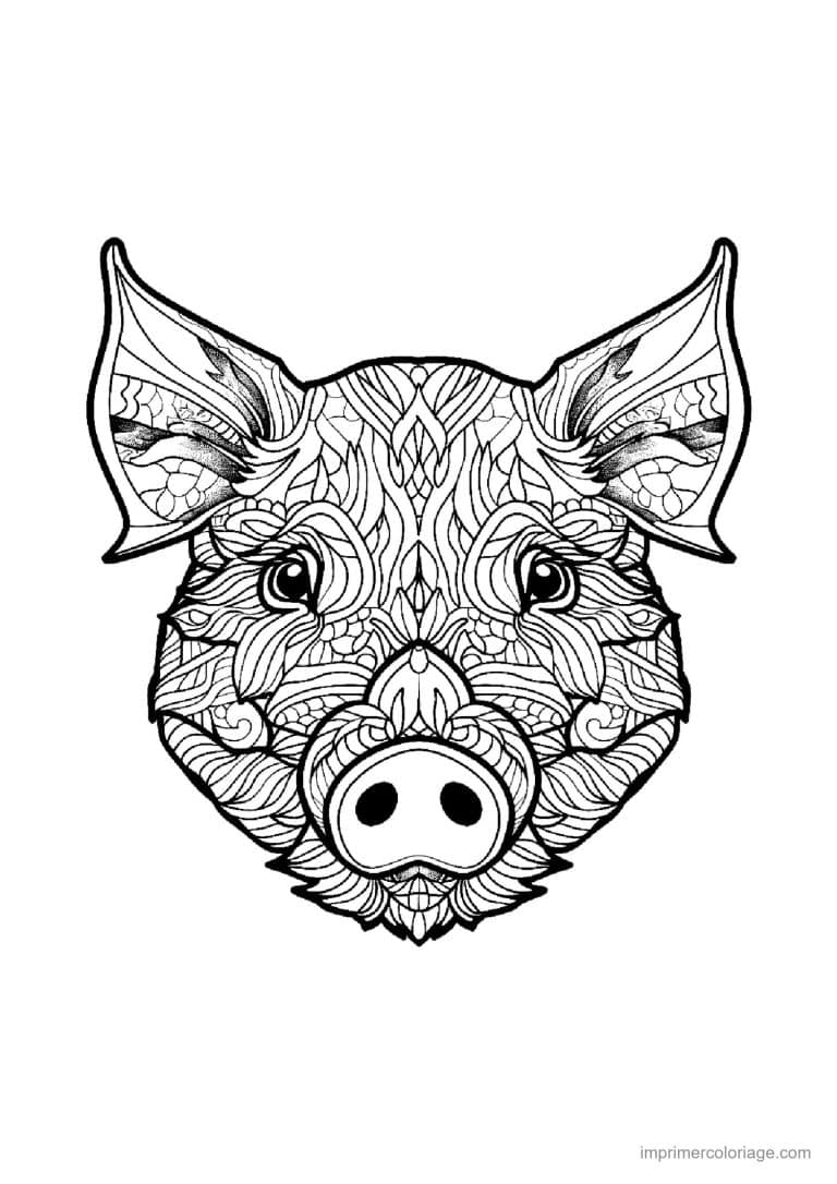 coloriage cochon mandala 11 - dessin gratuit &agrave; imprimer