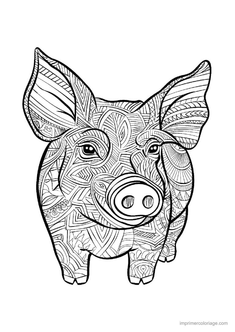 coloriage cochon mandala 12 - dessin gratuit &agrave; imprimer