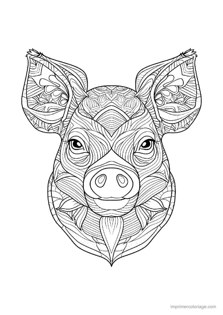 coloriage cochon mandala 15 - dessin gratuit &agrave; imprimer