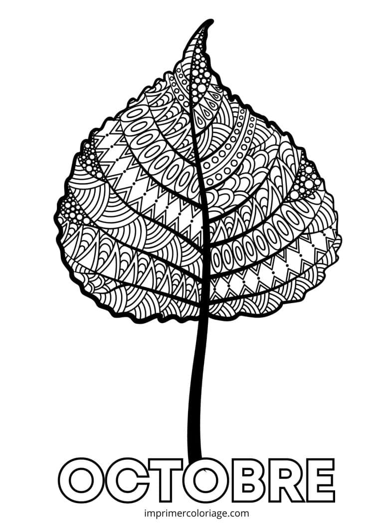 coloriage octobre feuille mandala - dessin gratuit &agrave; imprimer