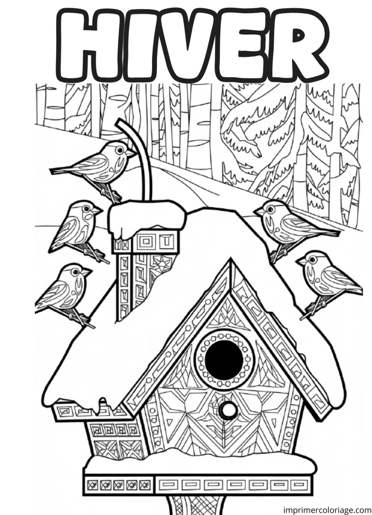 Coloriage adulte hiver - dessin gratuit &agrave; imprimer