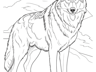 Coloriage grand loup montagne à imprimer Coloriage grand loup montagne - dessin gratuit à imprimer