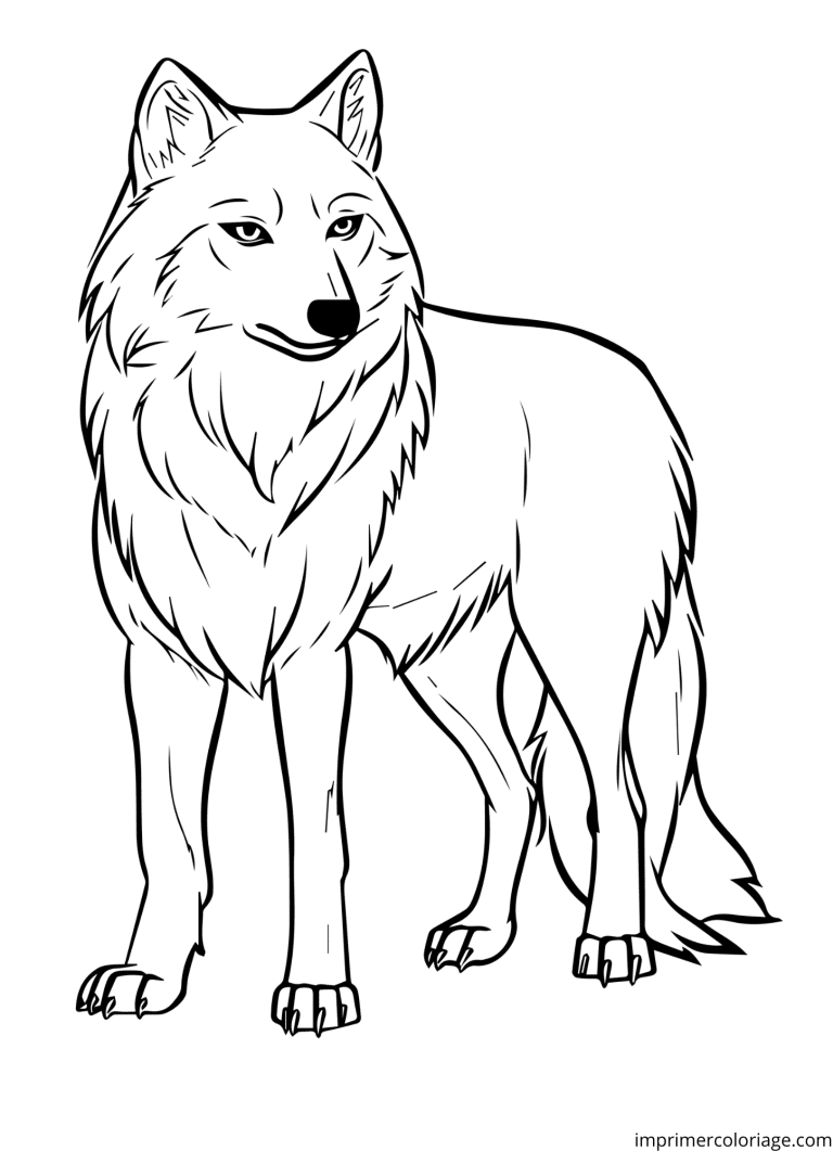 Coloriage loup blanc - dessin gratuit &agrave; imprimer